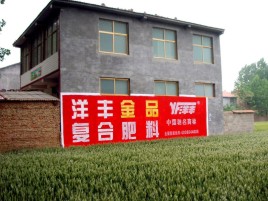 元阳如何让墙体广告展现最大化效果