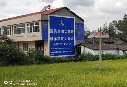 元阳决定墙体广告价格的因素有哪些?