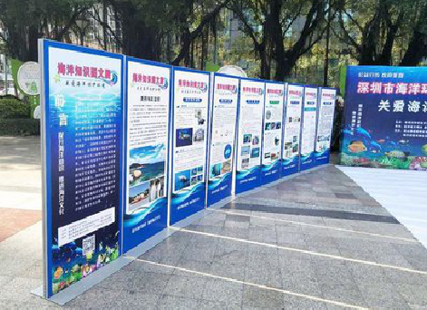 元阳KT板的种类和知识。